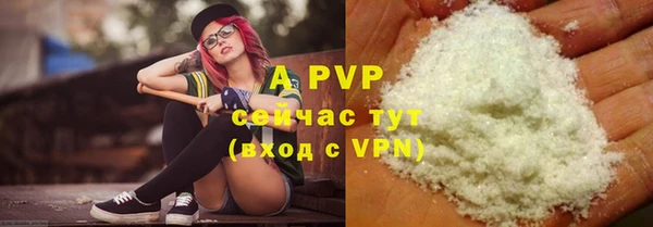 прущие крисы Балахна
