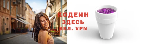 дживик Богородицк