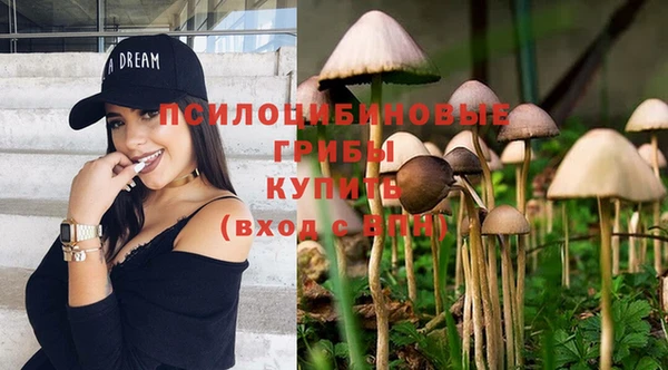 кокаин колумбия Богданович