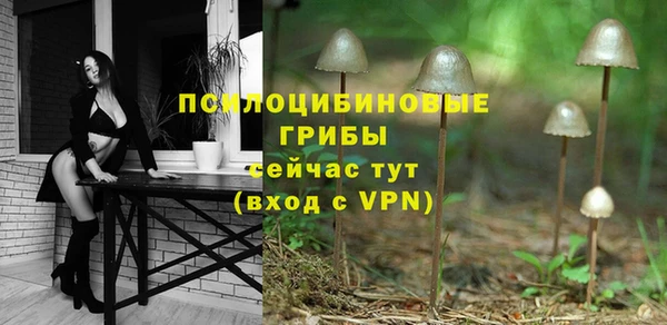 стафф Баксан