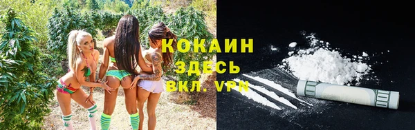 MESCALINE Аркадак