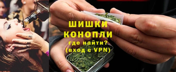 MESCALINE Аркадак